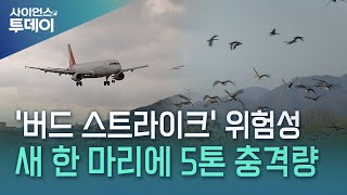 비행기 이착륙시 조류 충돌 위험 83%...충격량 5톤 이상 / YTN 사이언스