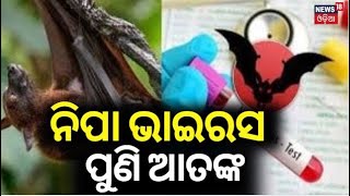 Nipah virus in Kerala : ପୁଣି ନିପା ଭାଇରସ ଆତଙ୍କ | Important to be Very Cautious | Odia News