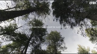 How can burning wood be sustainable? 🪵
