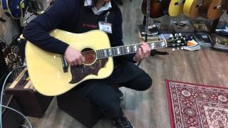 Gibson ギブソン / LTD COUNTRY WESTERN ELEMETNT VTC 【石橋楽器心斎橋店】