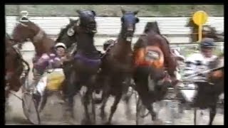 Harness Racing Accident,Bulli Paceway-21/01/1991 (Bright Flyer-G.V.Frost)