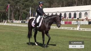 NAF Saumur Complet 2017 - CCI 3* - Dressage