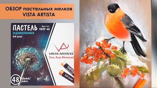 ОБЗОР на Пастельные мелки VistaArtista/Cравнение с Mungyo/рисую Снегиря на ветке.Зимний этюд