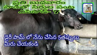 5 Mistakes I Made in Dairy farm - You Don't/డైరీ పామ్ లో నేను చేసిన 5తప్పులు - మీరు చేయకండి