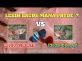 GUPPY PRTDE betina ekor corak vs PRTDE betina ekor merah #2