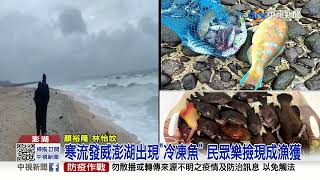 寒流發威澎湖沙灘出現\