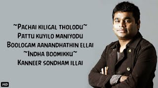 Pachai Kiligal Tholodu Song (Lyrics) | Chinnanchiru Kootukula Full Song | A.R.Rahman