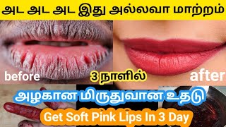 இயற்கையாகவே உதடுகள் சிவப்பாக வேண்டுமா / How To Get ink lips naturally at home in tamil #pinklip