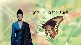 霍尊 - 酒醉的蝴蝶(中國風)