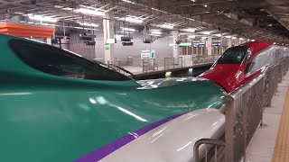 【連結編成】はやぶさ\u0026こまちの仙台駅到着シーン（北海道新幹線\u0026秋田新幹線）