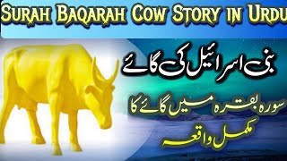 The Story of the Cow (Surah Al-Baqarah) - Quran Stories Explained Surah Baqrah main Gaaye ka waqia