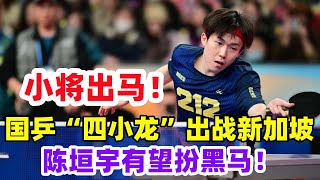 国乒“四小龙”出战新加坡，陈垣宇有望扮黑马，林诗栋冲击三冠王！#乒乓球 #乒乓 #pingpong #tabletennis #卓球 #桌球