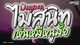 ไวกิ้งรีมิกซ์ | เพลงแดนซ์สายย่อยกล้อสเต็ปรำ2025 ไม่สนิทบิดหมด X เห็นหมีหนูมั้ย (คัดมาแล้ว) VOL.19