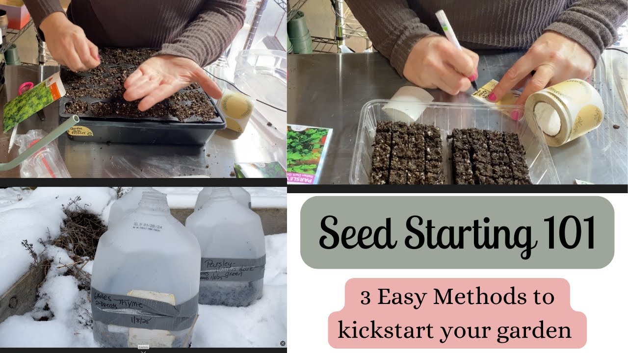 Seed Starting 101 3 Easy Methods To Kickstart Your Garden Youtube