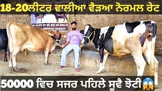 18-20ਲੀਟਰ ਵਾਲੀਆ 3 ਵੈੜਆ ਅਤੇ 1 ਝੋਟੀ ਵੀਕਾਓ। Buffalo and cow for sale/vadiya farm/18-6-23