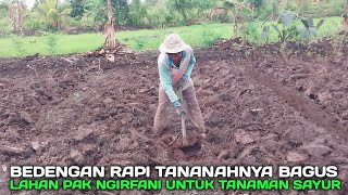 Lahannya siap ditanami dan pak ngirfani petani transmigrasi bikin bedengan rapi banget