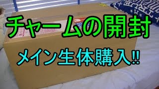 【アクアリウム】Charm開封動画、メイン生体購入！選んだお魚は？？