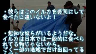 【海外の反応】「日本人は食べるんじゃないの？」茨城・鉾田の海岸で150頭のイルカを助ける日本人の映像に外国人が意外な反応