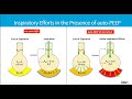 Adding Extrinsic PEEP in Dynamic Hyperinflation Syndrome