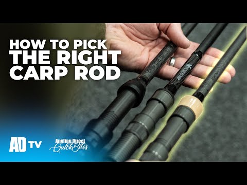What are the best carp rods 2020?