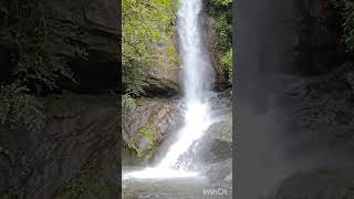 Kadappara Water Falls @Creative Broadcasting #shorts Videos #kadappara palakkad