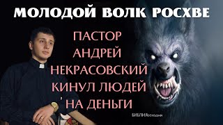 МОЛОДОЙ ВОЛК РОСХВЕ. Пастор Андрей Некрасовский кинул людей на деньги