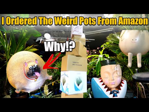 Amazon's Weirdest Pots
