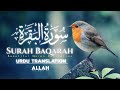 Beautiful Surah Recitation | Surah Baqarah with Urdu Translation