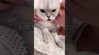 这小猫真小气，一口也不让亲！