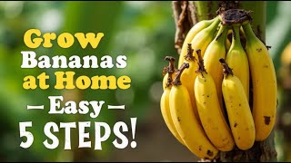 Grow Bananas at Home in 5 Easy Steps!