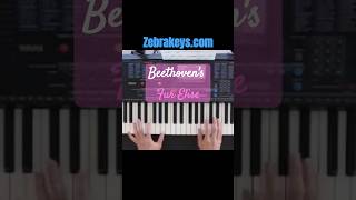 Fur Elise by Beethoven keyboard music