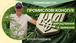 Промислові коноплі | вирощування та збирання