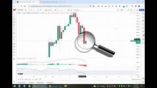 Pionex - Placing a 100x Gridbot Order with Leverage and Stop Loss and Take Profit