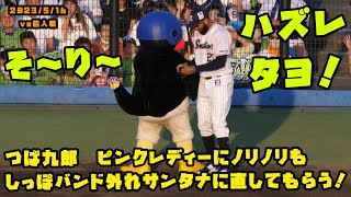 つば九郎　ピンクレディーにノリノリもしっぽバンド外れサンタナに直してもらう！　2023/5/16 vs巨人