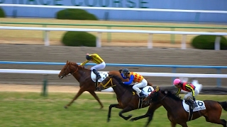 城戸がムーアを捉える。テーオーフォルテが新馬戦勝利。京都競馬場、現地映像