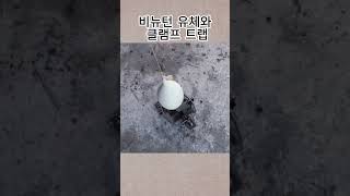 비뉴턴 유체와 클램프 트랩 || 흥미로운 지식