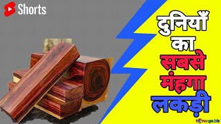 दुनियाँ का सबसे मंहगा लकड़ी कौन हैं || Most expensive wood in the world || #factsinhindi #shorts