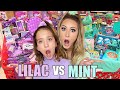 MINT VS LILAC NO BUDGET SHOPPING SPREE! 💜💚