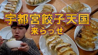 【栃木グルメ】宇都宮餃子が大集結する「来らっせ」で餃子を食べまくる。