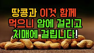 땅콩과 이것과 함께 절대 먹지마세요 ! 암에 걸립니다 ! 땅콩과 최악의 궁합 , 땅콩과 최고의 궁합 땅콩 효능과 부작용 총정리