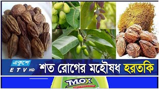 হরতকির উপকারিতা ও ব্যবহার | মহৌষধ হরতকি | ভেষজ উদ্ভিদ | ETV Lifestyle