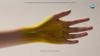 Transparent Skin Human Arm Animation