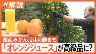 「オレンジジュース」が高級品に？ 記録的な不作が影響…販売休止相次ぐ、国産みかん活用の動きも【Nスタ解説】｜TBS NEWS DIG