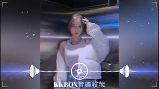 《难渡》 (DJ武圣雄版) 黄静美 -   Hot Tiktok Douyin 抖音