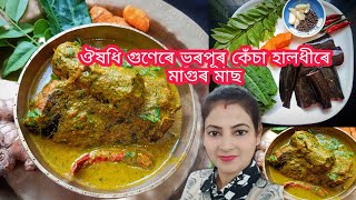 ঔষধি গুণেৰে ভৰপূৰ কেঁচা হালধীৰে মাগুৰ মাছ|Assamese Traditional Fish Recipe