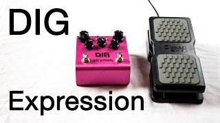 Strymon DIG Dual Digital Delay + Expression Pedal Demo