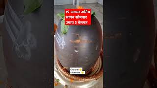 #सावन सोमवार 19 अगस्त 5 बेलपत्र उपाय #pandit_pradeep_ji_mishra #subscribe #trending #virlvideo  Like