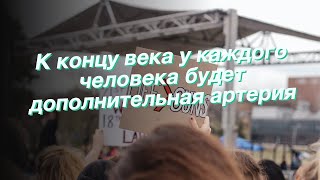 К концу века у каждого человека будет дополнительная артерия