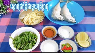 How to ស្ងោរជ្រក់ខ្ញីជាមួយត្រីប្លាធូ/អត្ថប្រយជន៍ខ្ញី/