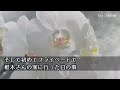 【感動する話】42歳独身の俺に突然見合い話が。相手はなんと元ヤン「指一本触れるなよ」と敵意丸出し→だが彼女の過去を知り覚悟を決め「俺は…」すると彼女に驚くべきことが…【泣ける話】【朗読】